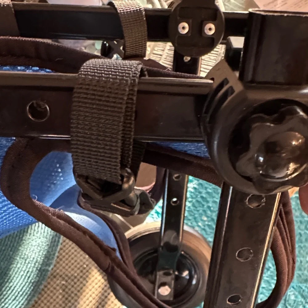 Dog Wheelchair Harness with Black Straps